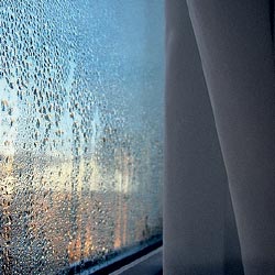 window with condensation